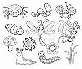Bugs Clipart Moscas Insectos sketch template
