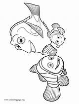 Dory Pages Nemo Marlin Sheets Findet Dorie Pintar Ausmalen Malvorlagen Hank Ausmalbilder Fische sketch template