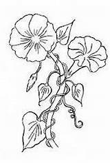 Moonflower Glories sketch template