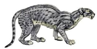 history man  earliest cats  elongated bodies