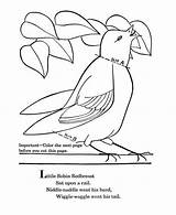 Robin Coloring Bird Pages Red Redbreast Little sketch template