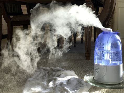 prevent humidifier mold cold hot air