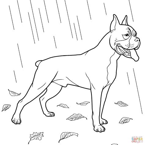 boxer dog dog coloring book dog coloring page puppy coloring pages