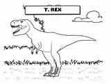 Dinosaurios Tiranosaurio Rocas K5worksheets K5 Salvavidas Coloreando Gallito Freecoloringpages Imagui sketch template