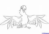 Macaw sketch template