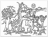 Safari Coloring Animals Pages Baby Jungle Animal Getdrawings Printable Getcolorings sketch template