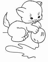 Katzen Katzenbaby Kostenlose Spielt Ausmalbild sketch template