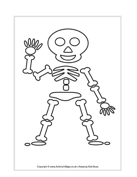 kids skeleton drawing   kids skeleton drawing png