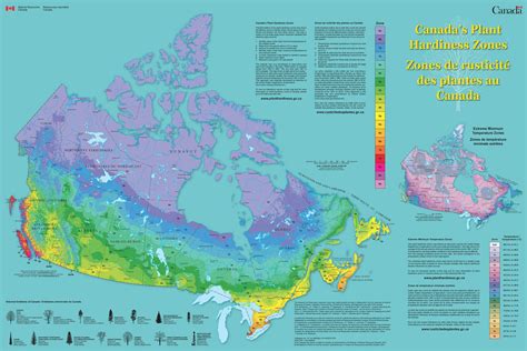 Plant Hardiness Zones In Canada How Do They Work Para Space Para