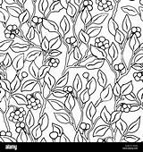 Floral Texture Vector Seamless Monochrome Drawn Alamy Pattern Hand Illustration sketch template