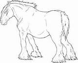 Horse Coloring Draft Pages Horses Clydesdale Outline Drawing Getdrawings Getcolorings Printable Color Template sketch template