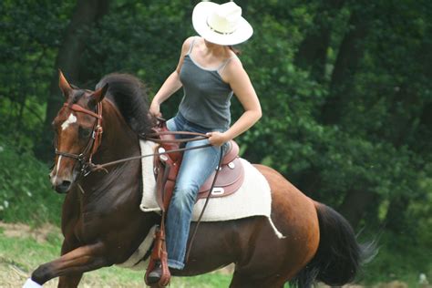 western riding   photo  freeimages