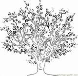 Baum Dekoking Zeichnen Cherries Arbol Schritt Dragoart sketch template