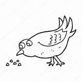 Pecking Oiseau Graines Mange Picorer Animé sketch template