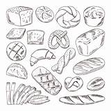 Loaf Draw Getrokken Brood Bakkerijproducten Illustraties Soorten Pane Tipi sketch template