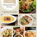 weight watchers dinner recipes roundup    points thrifty