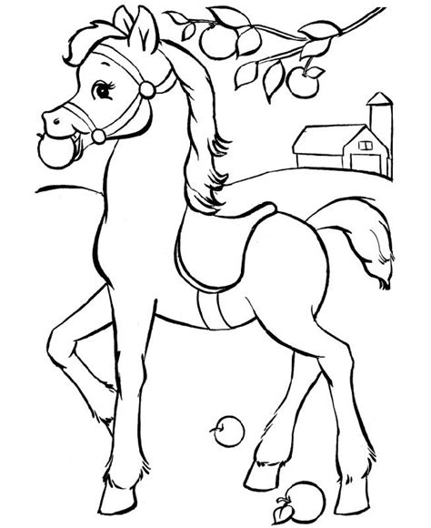 horse color sheet  print  kiddo shelter horse coloring books