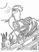Cock Coloring4free 2021 Sheets Coloring Animal Printable Pages Animals 1130 sketch template