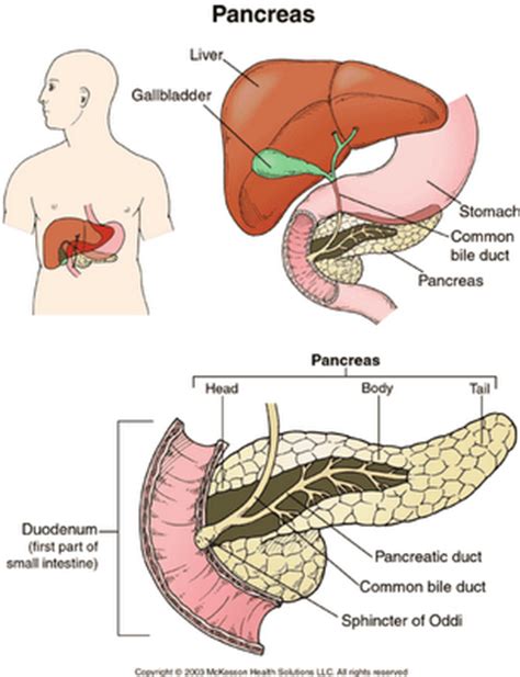 tips gastroenterologicos pancreatitis aguda