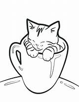 Cat Cute Coloring Pages Drawing Kitten Simple Sleeping Kitty Cats Kittens Easy Realistic Anyone Examples Drawings Kpop Cup Very Colouring sketch template