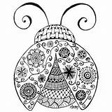 Coccinelle Colorear Catarina Mariquita Mariquitas Zentangle Discipline Bug Ladybugs Printemps sketch template