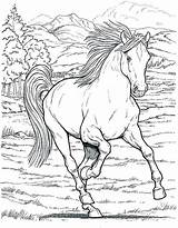 Coloring Horse Head Pages Getdrawings Print sketch template