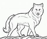 Wolf Coloring Pages Printable Kids Wolves Drawing Animal Outline Sheets Print Cool Bestcoloringpagesforkids Dog Adult Puppy Books sketch template