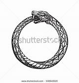 Ouroboros Coloring Designlooter Eternity Infinity Snake Tail Symbol Eating Own Its sketch template