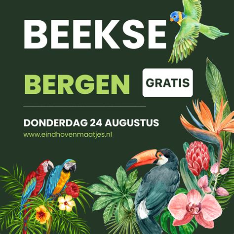 safaripark beekse bergen eindhoven maatjes