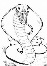 Tulamama Snakes Colouring sketch template