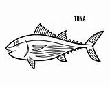Tuna Coloring Thon Pesce Ailette Fumetto Tonni Bambini Colorare Tonno sketch template