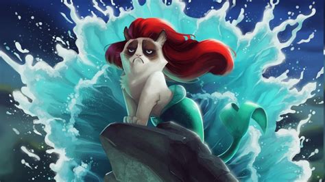 cat grumpy cat   mermaid disney humor wallpapers hd