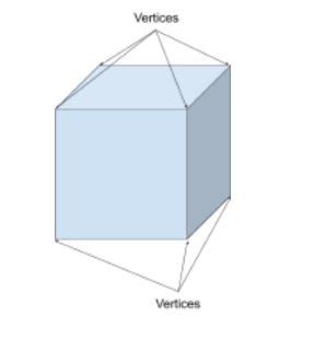 vertices faces edges explained  primary school