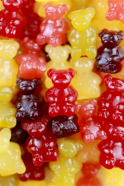 homemade gummy bears real fruit gemmas bigger bolder baking