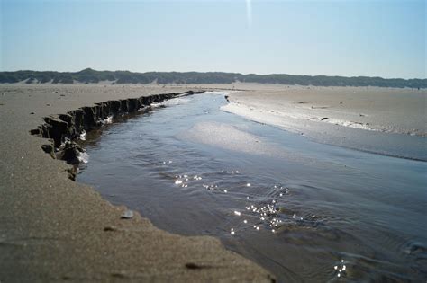 ameland eb thv paal  strand sediment tidal holland environment earth water outdoor