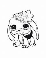 Coloring Pages Pet Dog Baby Puppy Lps Littlest Shop Cute Dogs Bunny Printable Chihuahua Fluffy Puppies Cat Little Print Kids sketch template