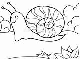 Lumaca Vettore Coloring Slug Snail Nature Bambini Adulti Coloritura Colorazione sketch template