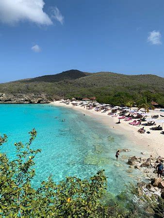 grote knip curacao         updated  curacao caribbean