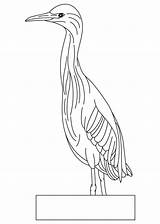 Bird Small Coloring sketch template