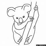 Koala Baby Coloring Pages Drawing Animal Thecolor Letter Animals Starting Getdrawings Choose Board sketch template