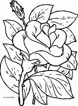 Ausmalen Rosen Inspirierend Pokal Malvorlage Malvorlagen Okanaganchild sketch template