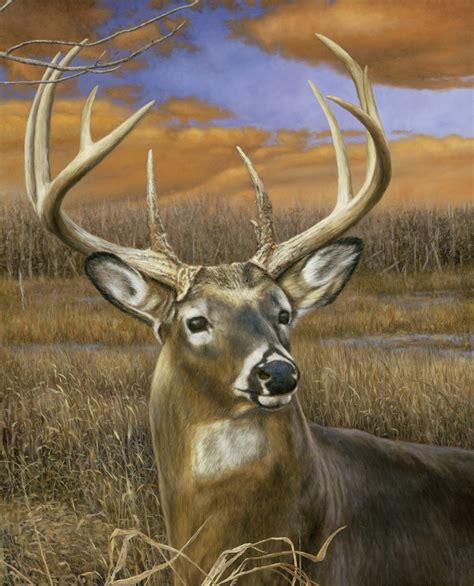 point buck   panel