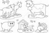 Fattoria Animali Colorare Ferme Bambini Outline Vache Chien Cochon Pour Fazenda Rondine Tacchino Capra Maiale Mucca Parati Chevre Dindon Enfants sketch template