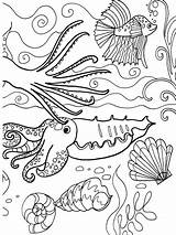Coloring Pages Sea Dover Under Publications Adult Book Colouring Ocean Doverpublications Printable Sheets Adventure Kids Welcome Books Sampler Creatures Stencils sketch template