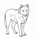 Wolf Coloring Pages Print Arctic Realistic Book Animal Clipart Mexican Wolves Color Warnai Drawings Books Printable Designlooter Sheets Deviantart Drawing sketch template