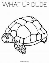 Tortoise Dude Cursive sketch template