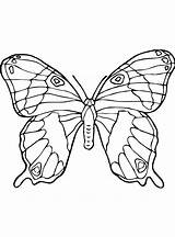 Schmetterlinge Vlinders Malvorlage Kleurplaat Persoonlijke Ausmalbild Complicated Kleurplaatjes Vlinder Stimmen sketch template