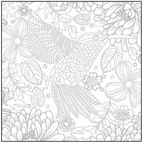spring coloring pages adults fresh spring coloring pages  kids