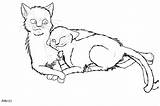 Warrior Cats Cat Coloring Pages Mates Lineart Warriors Drawing Alibi Tom She Deviantart Printable Kits Getdrawings Adult Sheets Real Search sketch template