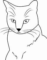 Katzenkopf Ausmalbilder Katzen Kurzhaarkatze Katze Tiere Kostenlose Malvorlage Ausmalen sketch template